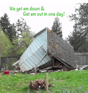 Fallen shed on ground